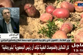 خبير فلاحي: “القطاع الإقتصادي في الجزائر ما عندوش أساس قانوني يحمي المستهلك”