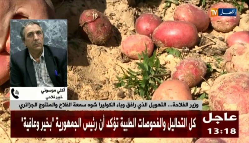 خبير فلاحي: “القطاع الإقتصادي في الجزائر ما عندوش أساس قانوني يحمي المستهلك”