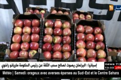 جمارك: حجز 90قنطارا من الفواكه المستوردة بميناء نقل المسافرين بالعاصمة