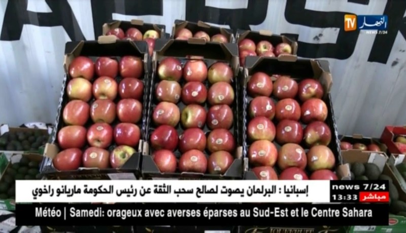 جمارك: حجز 90قنطارا من الفواكه المستوردة بميناء نقل المسافرين بالعاصمة