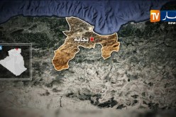 بجاية: عناصر الأمن تحجز 117 كلغ من اللحوم الفاسدة