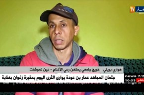 عين تموشنت : هواري.. قصّة مهندس دولة يمتهن رعي الأغنام  !