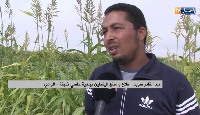 الوادي: زراعة اليقطين ..تجربة جديدة يخوضها فلاحو حاسي خليفة