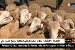 تيارت/ إستقرار في أسعار أضحية العيد بين 2 و 5 ملايين سنتيم