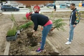 سكيكدة: إنطلاق عملية غرس 1000 ألف شجرة بحي القلاع