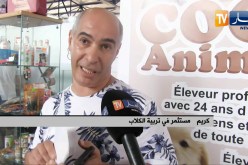 معرض دولي: من 09 إلى 20 مليون..كلاب نادرة صنعت الإستثناء لدى الجزائريين