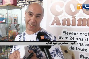 معرض دولي: من 09 إلى 20 مليون..كلاب نادرة صنعت الإستثناء لدى الجزائريين