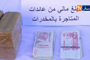 البليدة: الدرك الوطني يحجز 32 كغ من الكيف المعالج