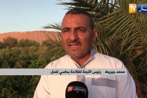 فلاحة: الفلاحة الصحراوية.. ميكانيزمات النجاح