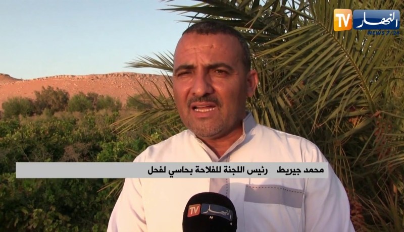 فلاحة: الفلاحة الصحراوية.. ميكانيزمات النجاح