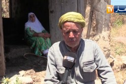 سوق أهراس: الخالة حدة لم تذق طعم الحياة بعد سرقة قطيع أبقارها