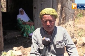 سوق أهراس: الخالة حدة لم تذق طعم الحياة بعد سرقة قطيع أبقارها