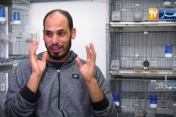 روبورتاج: تربية الطيور .. من الهواية إلى الإدمان