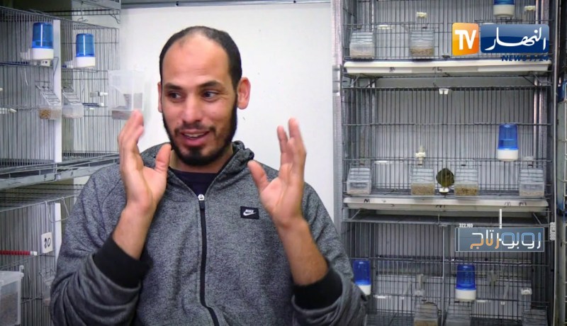 روبورتاج: تربية الطيور .. من الهواية إلى الإدمان