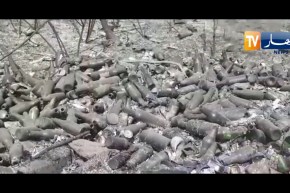 تيزي وزو:  إتلاف أكثر من 30 هكتار من الغطاء الغابي والنباتي بقرية ثاقمونت أوكيروش ببني دوالة