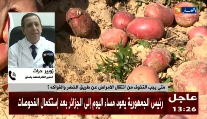 مدير معهد باستور: “لم نكذب وزارة الفلاحة بخصوص سلامة الخضر والفواكة من داء الكوليرا”