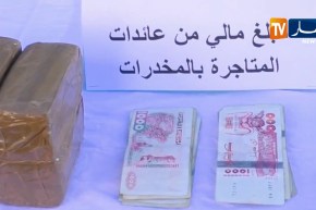 البليدة/ الدرك الوطني يحجز 32 كغ من الكيف المعالج