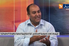 فيروسات تهدد خصوصية المستخدم..أية إستراتيجية لحماية منظومتنا المعلوماتية