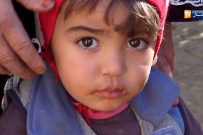 الشلف/ تمزقيدة بأعالي جبال بلدية بني حواء..قرية لم يصلها قطار التنمية