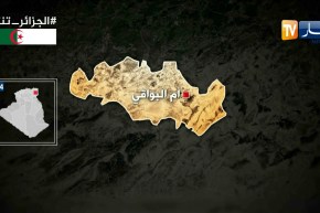 أم البواقي: مريض عقلي يقتل أخته في حي التضامن بعين البيضاء