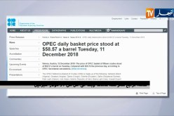 طاقة: تراجع سعر سلة خامات أوبك إلى أقل من 59 دولارا للبرميل