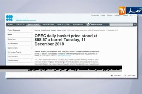 طاقة: تراجع سعر سلة خامات أوبك إلى أقل من 59 دولارا للبرميل
