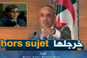 صحفية جريدة “النهار”.. هل الدستور اليوم أصبح “كراس محاولات”؟ شاهد بدوي كيف رد عليها