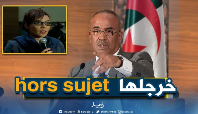صحفية جريدة “النهار”.. هل الدستور اليوم أصبح “كراس محاولات”؟ شاهد بدوي كيف رد عليها