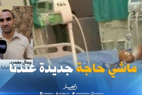 مدير الصحة بالنيابة لولاية ورقلة : “لسعات العقارب ليست بالجديدة في الصحراء.. في كل سنة يوجد وفيات”