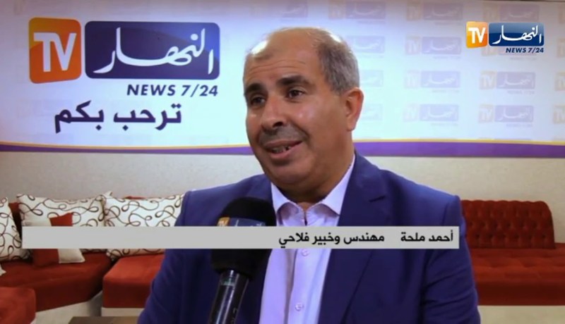 ترقية الفلاحة الصحراوية..هذه هي الشعب ذات الأولوية والمنتجات الإسترتيجية