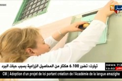 تونس:إنتقادات واسعة لقرار وزارة التربية بنشر إمتحانات الباك على الفايسبوك