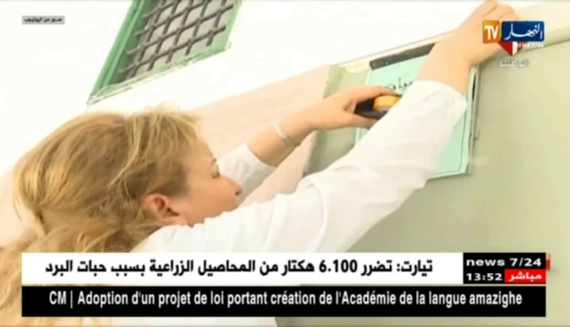 تونس:إنتقادات واسعة لقرار وزارة التربية بنشر إمتحانات الباك على الفايسبوك