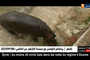 لهذه الأسباب أصبحت حديقة التسلية تحت وصاية شركة الإستثمار للفندقة