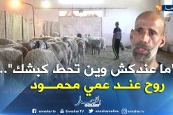 عيد 2018/ إسطبلات مخصصة لرعاية الكباش تقدم خدماتها لسكان العمارات والمدن