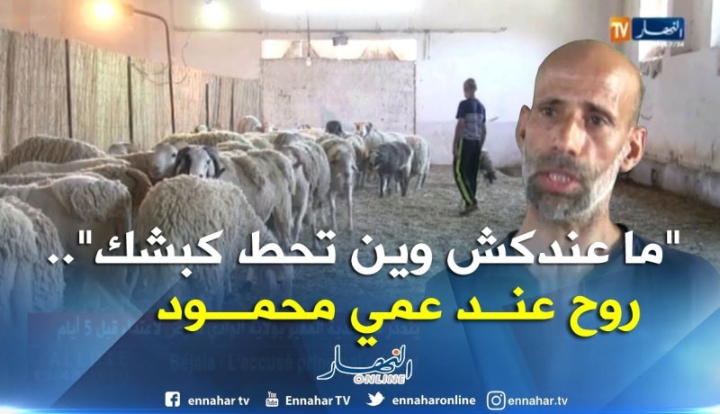 عيد 2018/ إسطبلات مخصصة لرعاية الكباش تقدم خدماتها لسكان العمارات والمدن