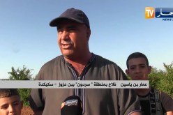 سكيكدة  :منطقة.سردون ببن عزوز.. سلة الخضر والفواكه