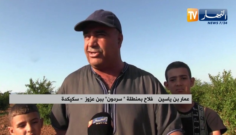 سكيكدة  :منطقة.سردون ببن عزوز.. سلة الخضر والفواكه