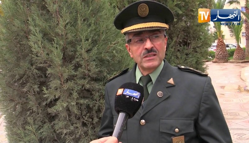 باتنة: شجرة العرعار البخوري النادرة في منطقة الوراس تسير إلى الزوال