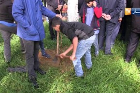 والي العاصمة يشارك تلاميذ مدرسة الشهيد “بوعنينبة” في عملية غرس الأشجار