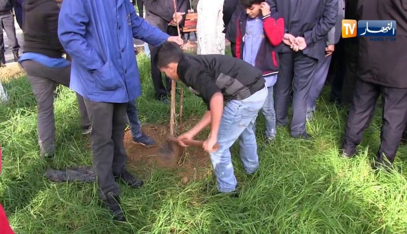 والي العاصمة يشارك تلاميذ مدرسة الشهيد “بوعنينبة” في عملية غرس الأشجار