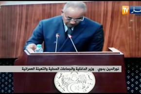 بدوي: سيتم تسليم 15 طائرة هليكوبتر و4 طائرات صغيرة و50 سيارة إسعاف للمناطق النائية