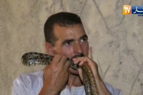 عين تموشنت: الحبيب.. صياد الأفاعي ومربيها بقرية المساعيد