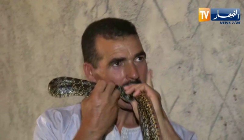 عين تموشنت: الحبيب.. صياد الأفاعي ومربيها بقرية المساعيد