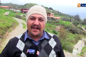 جيجل: في هذه القرية يتم إقتناء الحليب واللّبن مجانا