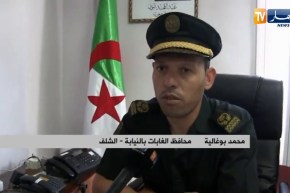 الشلف: تلف 1905 هكتار من الغطاء الغابي بفعل نشوب 28 حريقا بشهر أوت