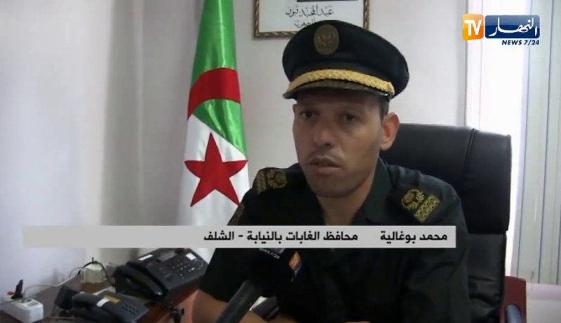 الشلف: تلف 1905 هكتار من الغطاء الغابي بفعل نشوب 28 حريقا بشهر أوت