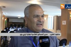 بجاية: الإتحاد الأوروبي يمنح 5.8 مليون أورو لمرافقة منتجي زيت الزيتون في 3 ولايات