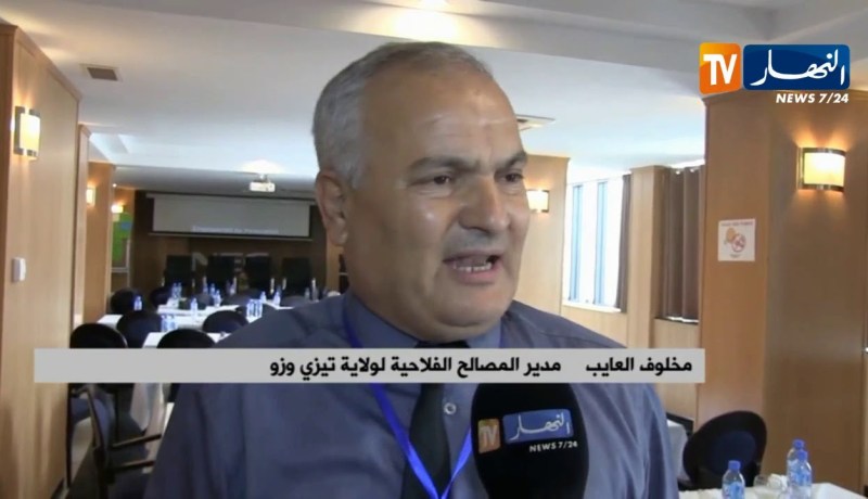 بجاية: الإتحاد الأوروبي يمنح 5.8 مليون أورو لمرافقة منتجي زيت الزيتون في 3 ولايات