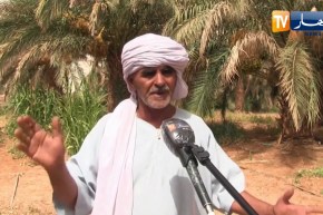 أدرار : منتوج وفير من بواكر التمور رغم بعض العراقيل