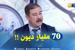 مدير التوزيع بسونلغاز : ” في أواخر نوفمبر ديون الشركة قدّرت بـ70 مليار دينار !! “